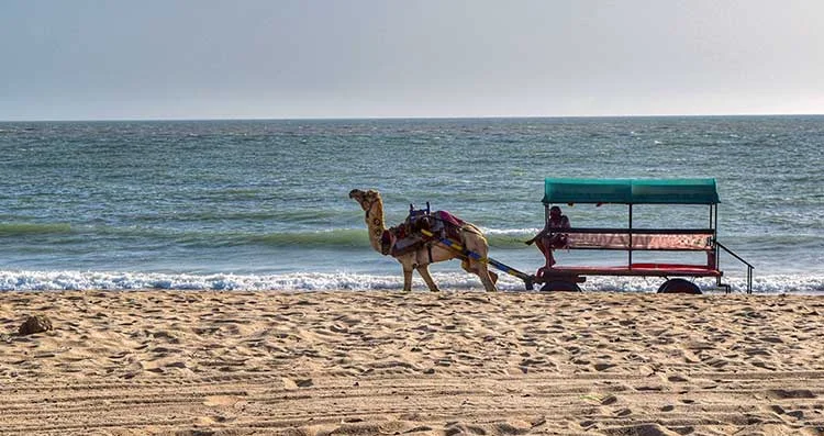 Mandvi Beach serene golden sand coastline and Arabian Sea in Kutch