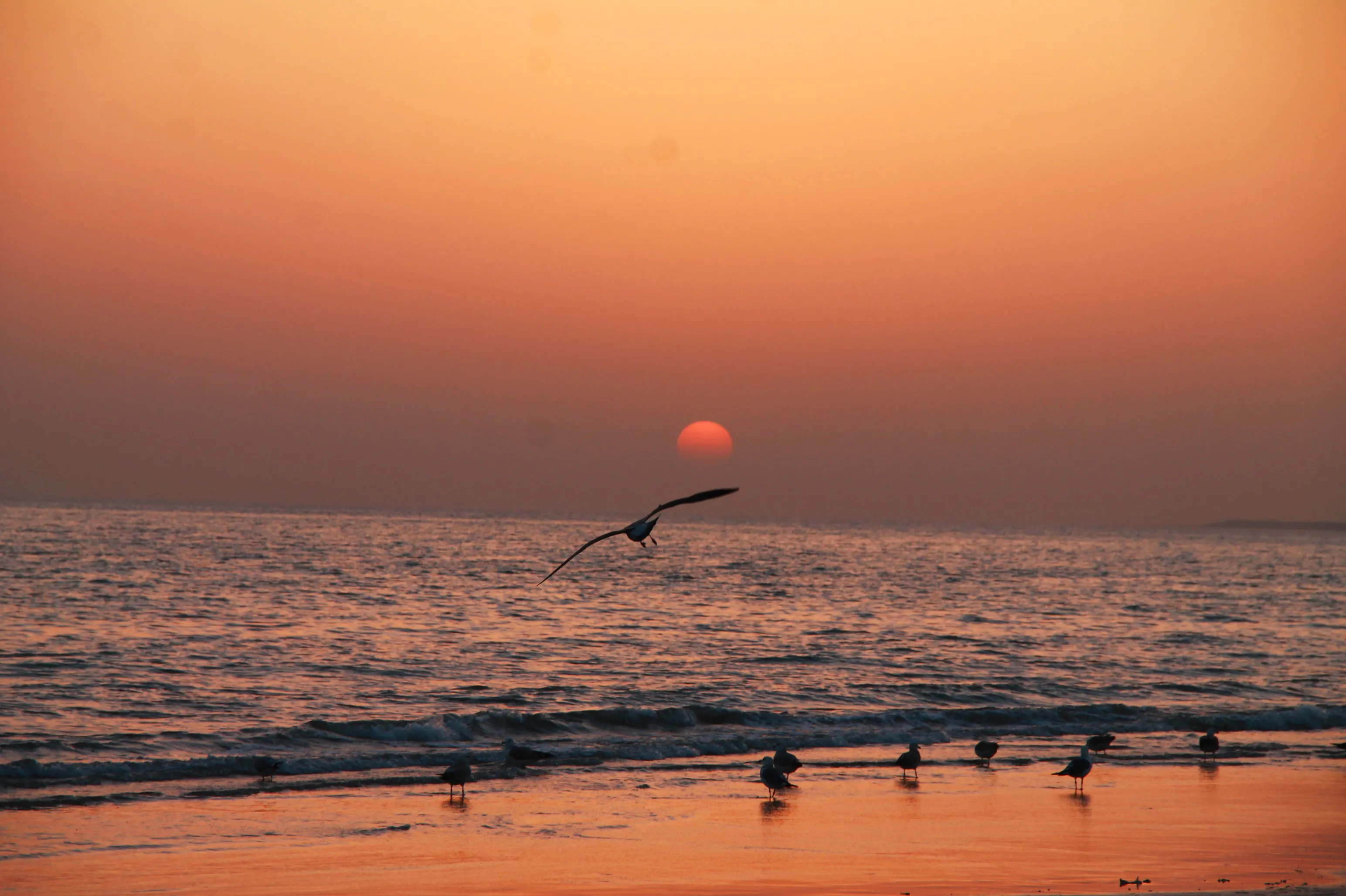 Mandvi Beach Sunset Kutch Gujarat