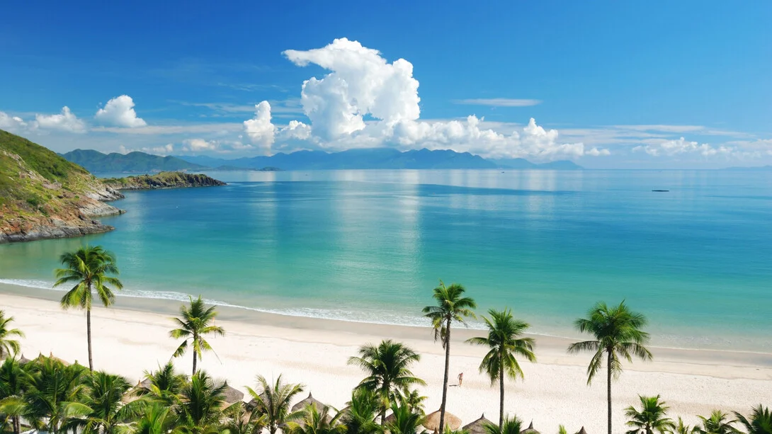 Scenic Sandy Beach and Palm Trees in Goa — Outstation Tour Package