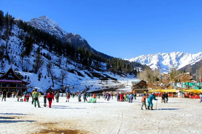 Snow-capped Mountains and Pine Trees in Manali — Outstation Tour Package