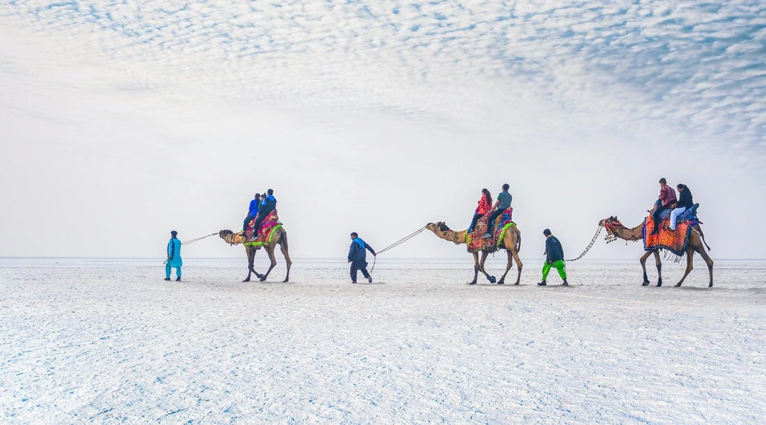 White Rann Kutch Kutchi woman camel — Gujarat Tourism